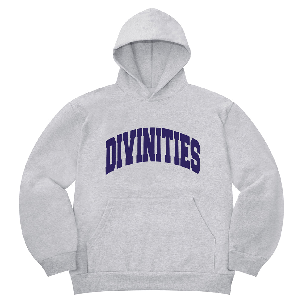 Collegiate Hooded Sweatshirt